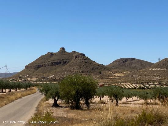 Parcela rústica en Jimena, Jumilla - MURCIA