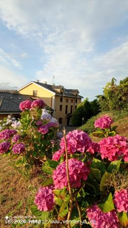 ESPECTACULAR FINCA/AP.TURISTICOS EN ASTURIAS (San Tirso, límite con Galicia) - ASTURIAS