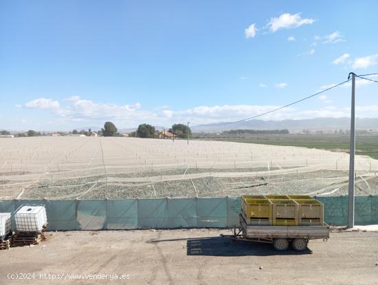 Terreno de regadío en Puerto Lumbreras - La Estación - MURCIA