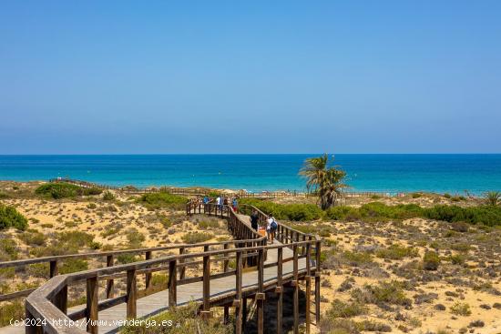 RESIDENCIAL DE OBRA NUEVA EN ARENALES DEL SOL - ALICANTE