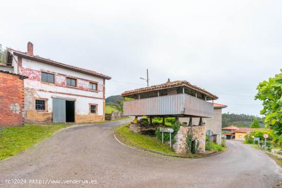 CASA RUSTICA EN LA PERAL - ASTURIAS