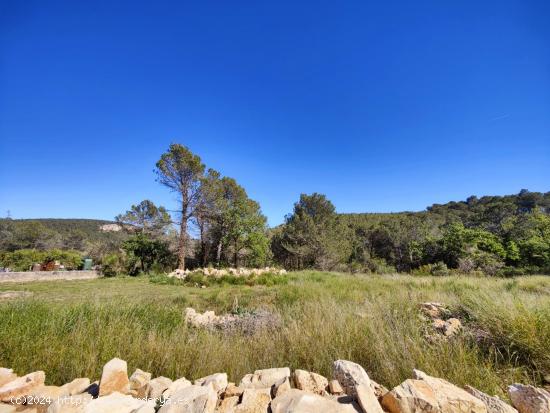 ÚNICO TERRENO URBANO EN VENTA EN EL COLL DE LA BARRACA - BARCELONA