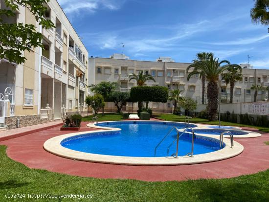 Bonito apartamento de planta baja con vista a la piscina y jardín comunal. - ALICANTE