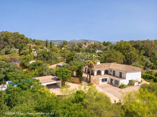 Un oasis de paz y privacidad a las puertas de Palma - BALEARES