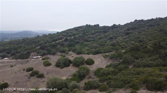 Parcela en Venta en San Martin Del Tesorillo Cádiz