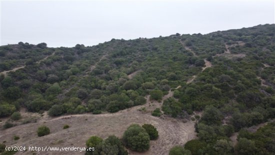 Parcela en Venta en San Martin Del Tesorillo Cádiz