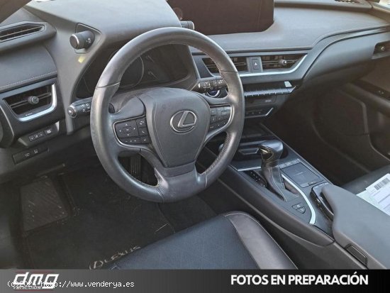 Lexus UX 2.0 250h Luxury 2WD 184Cv - Rubí