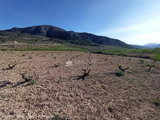 SE VENDE TERRENO RÚSTICO CON CUEVA HABITACIÓN EN ALGUEÑA - ALICANTE