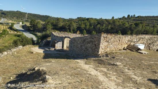 OPORTUNIDAD FINCA RUSTICA DE REGADIO CON GRAN CONSTUCCION AGRICOLA EN VILLALBA DELS ARCS - TARRAGONA