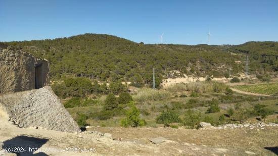 OPORTUNIDAD FINCA RUSTICA DE REGADIO CON GRAN CONSTUCCION AGRICOLA EN VILLALBA DELS ARCS - TARRAGONA