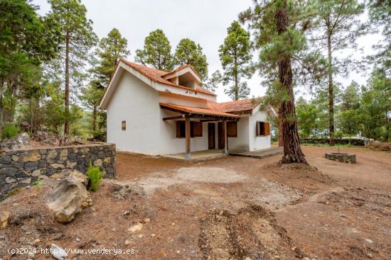 SE VENDE FINCA CON CASA EN ICOD DE LOS VINOS - SANTA CRUZ DE TENERIFE