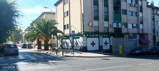 GARAJE - ALMACÉN CON ALTILLO - GRANADA