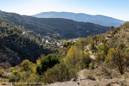 VENTA DE FINCA RÚSTICA EN LANJARÓN (HUERTA DE LAS MONJAS) - GRANADA