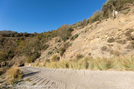 VENTA DE FINCA RÚSTICA EN LANJARÓN (HUERTA DE LAS MONJAS) - GRANADA