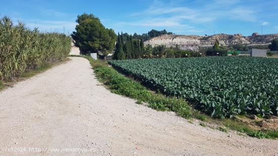 Parcela en Molina de Segura para recreo. - MURCIA