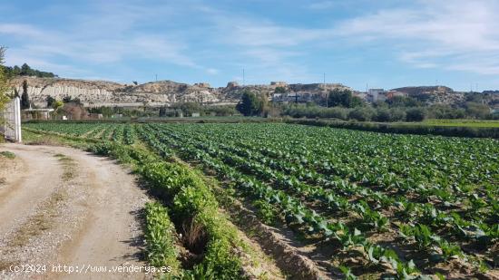 Parcela en Molina de Segura para recreo. - MURCIA