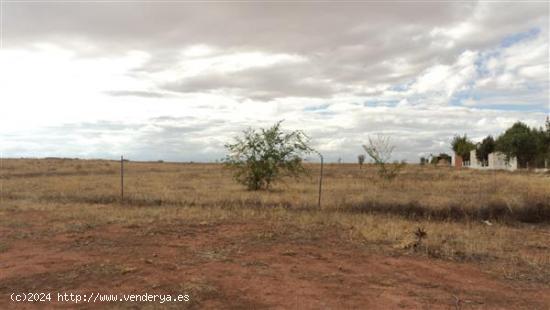 AMPLIA PARCELA JUNTO A LA LAGUNA DE VILLAFRANCA, SUPERFICIE RÚSTICA: 15400 METROS CUADRADOS  SUPERF