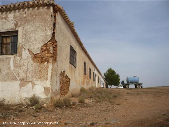 coto privado de caza CR-10286 DENOMINADO SAN FELIPE - CIUDAD REAL