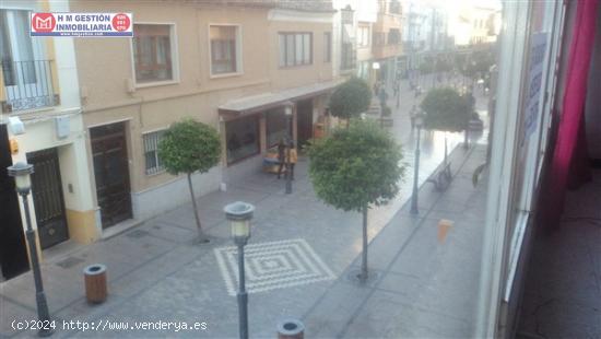 LOCAL COMERCIAL DE 300 METROS EN PRIMERA PLANTA EN LA CASTELAR - CIUDAD REAL