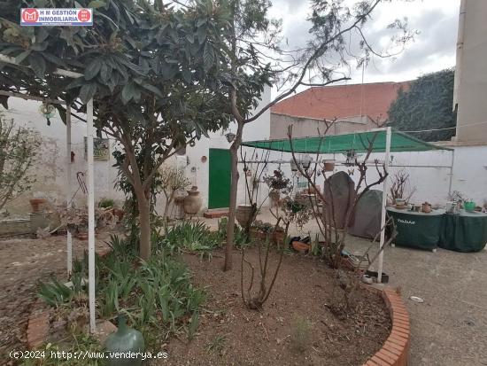 CASA LUMINOSA EN PLANTA BAJA CON MAS DE 13 METROS DE FACHADA, PATIO DE 141 METROS EN ZONA CENTRO - C