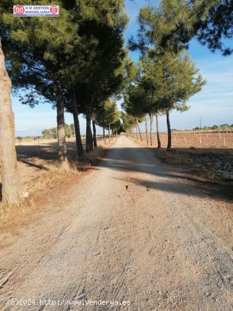 Casa en el campo sobre parcela de 30.000 metros con 400 olivos  y casa en Ctra. Manzanares - CIUDAD 