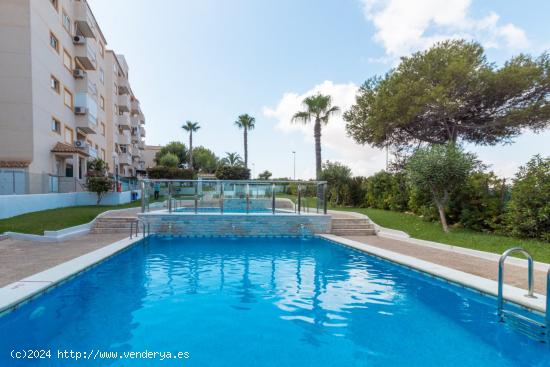 Apartamento en Torrevieja zona La Mata, - ALICANTE