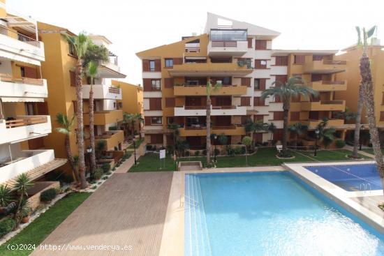 Apartamento en Torrevieja zona Punta prima, 120 m. de superficie, 100 m. de la playa - ALICANTE