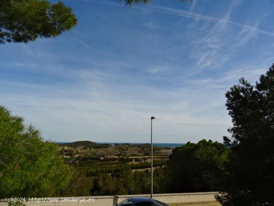 MUY BUENAS VISTAS AL MAR. 1 ó 2 PARCELAS. OPORTUNIDAD - VALENCIA