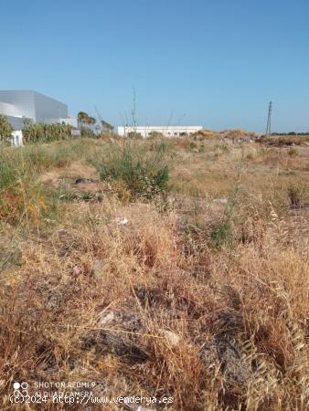 AMPLIO TERRENO PARA CREAR UN GRAN SUEÑO!! - CADIZ