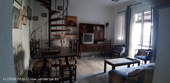  PISO CON TERRAZA EN EL CASCO HISTÓRICO - CADIZ 