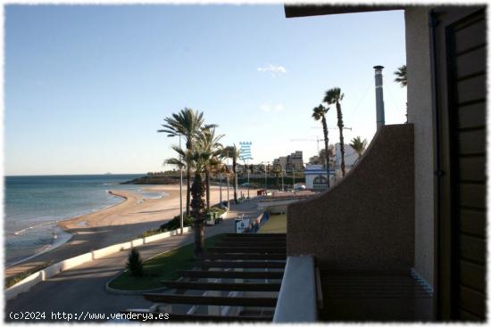 La mejor vista en 100 palmeras  oportunidad - ALICANTE