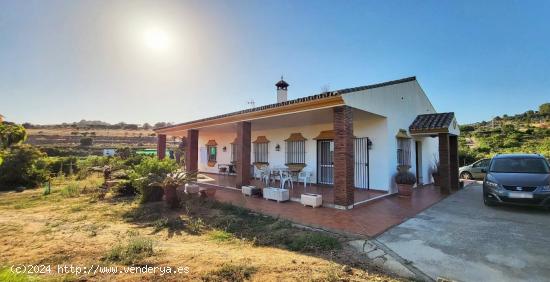 Finca Rústica Situada en El Reinoso. - MALAGA