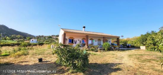 Finca Rústica Situada en El Reinoso. - MALAGA