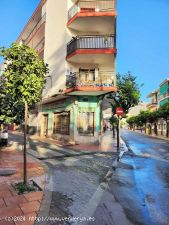 Local comercial - MALAGA