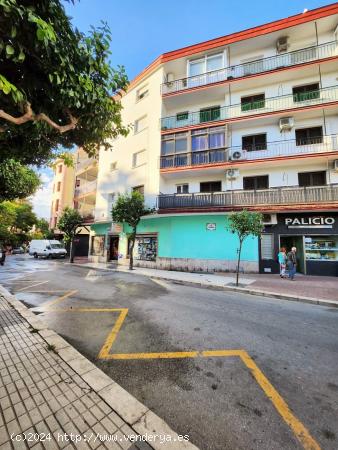 Local comercial - MALAGA