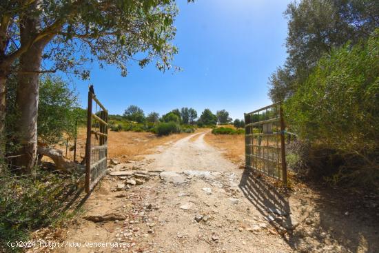 SE  VENDE FINCA DE 5 HECTAREAS  EN VALCARGADO ( MEDINA SIDONIA) - CADIZ