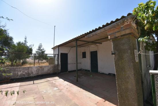 SE  VENDE FINCA DE 5 HECTAREAS  EN VALCARGADO ( MEDINA SIDONIA) - CADIZ