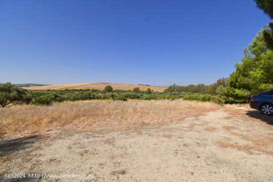 SE  VENDE FINCA DE 5 HECTAREAS  EN VALCARGADO ( MEDINA SIDONIA) - CADIZ