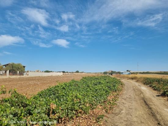 Se vende parcela Segregada de 3470m2 zona Venta Tocino. - CADIZ