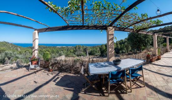 Rustica en Bendinat - BALEARES