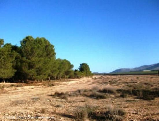  Fincas Rústicos en venta en Aledo - MURCIA 