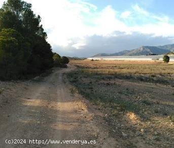 Fincas Rústicos en venta en Aledo - MURCIA