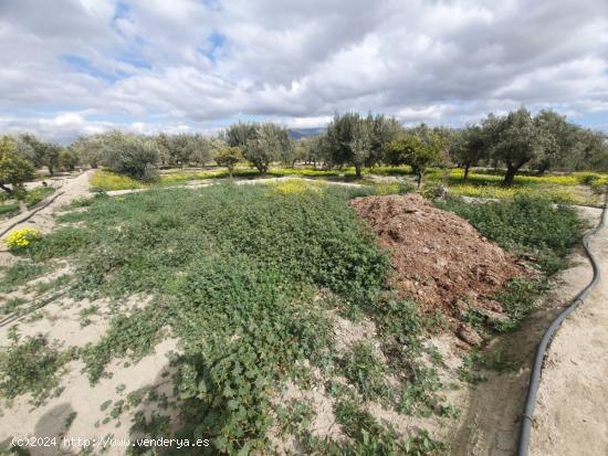 PARCELA RUSTICA EN EL CENTRO DE HUERCAL - ALMERIA