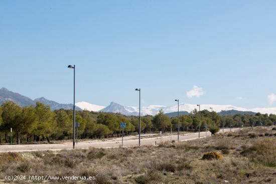 MAGNIFICA PARCELA EN LOS ALTOS DE LA ZUBIA - GRANADA