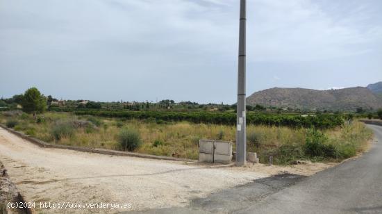 TERRENO RÚSTICO DE MÁS 10.000M2 CON LUZ, AGUA, LICENCIA Y PROYECTO PARA CONSTRUIR CASA DE HASTA 20