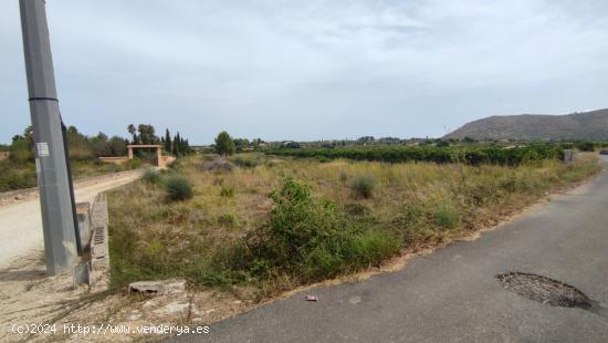 TERRENO RÚSTICO DE MÁS 10.000M2 CON LUZ, AGUA, LICENCIA Y PROYECTO PARA CONSTRUIR CASA DE HASTA 20