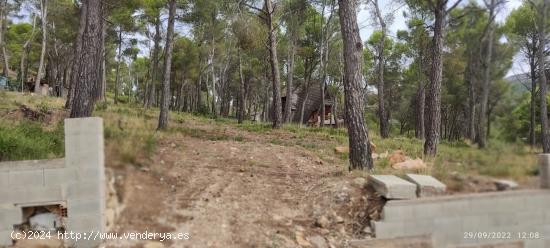 TERRENO URBANO EN UTIEL - VALENCIA