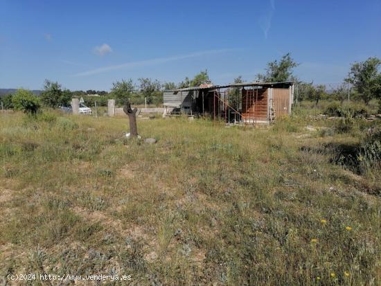 TERRENO RUSTICO CASINOS con agua. - VALENCIA