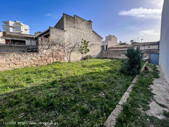 SOLAR EDIFICABLE - BALEARES