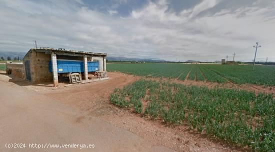 Finca Rústica Edificable en Sa Pobla. - BALEARES